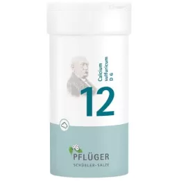 BIOCHEMIE Pflueger 12 Calcium sulfuricum D 6 prah, 100 g