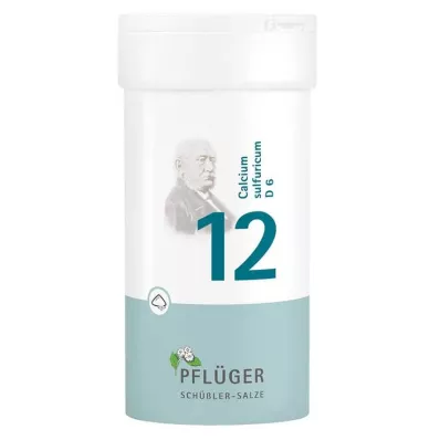 BIOCHEMIE Pflueger 12 Calcium sulfuricum D 6 prah, 100 g BIOCHEMIE Pflueger 12 Calcium sulfuricum D 6 prah, 100 g