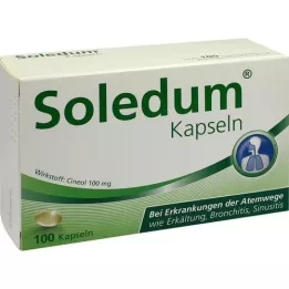 SOLEDUM 100 mg gastrorezistentne kapsule, 100 kom