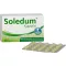 SOLEDUM 100 mg gastrorezistentne kapsule, 100 kom