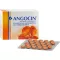 ANGOCIN Anti infekcija N filmova -tablete obložene, 200 ST