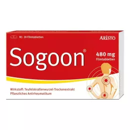 SOGOON 480 mg filmom obložene tablete, 20 kom