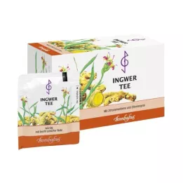 INGWER TEE Torba za filtriranje, 20x2 g