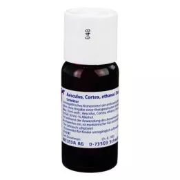 AESCULUS CORTEX eterični dekokt matična tinktura D 1, 50 ml