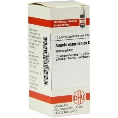 ARUNDO mauritanica C 30 globula, 10 g