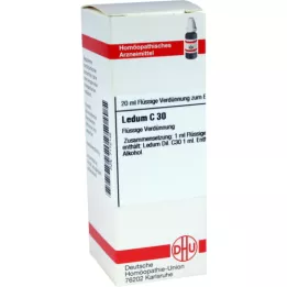 LEDUM C 30 razrjeđenje, 20 ml