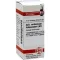 CALCIUM CARBONICUM Hahnemanni LM I razrjeđenje, 10 ml