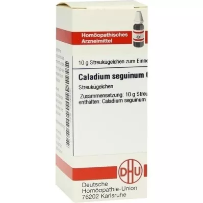 CALADIUM seguinum C 6 kuglica, 10 g
