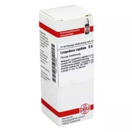LESPEDEZA CAPITATA D 6 Razrjeđenje, 20 ml