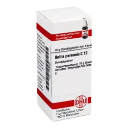 BELLIS PERENNIS C 12 globula, 10 g