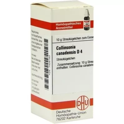 COLLINSONIA CANADENSIS D 4 globule, 10 g