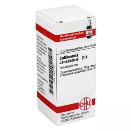 COLLINSONIA CANADENSIS D 4 globule, 10 g