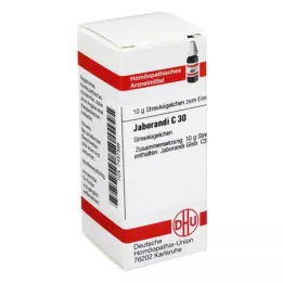 JABORANDI C 30 globula, 10 g