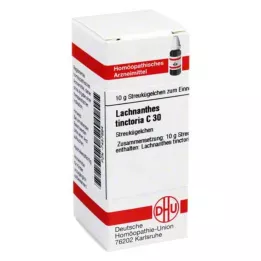 LACHNANTHES tinctoria C 30 kuglica, 10 g