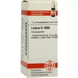 LEDUM D 1000 globula, 10 g