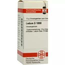 LEDUM D 1000 globula, 10 g