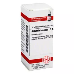 ADLUMIA fungosa D 12 kuglica, 10 g