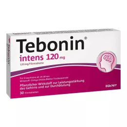 TEBONIN intens 120 mg filmom obložene tablete, 30 kom