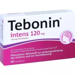 TEBONIN intens 120 mg filmom obložene tablete, 60 kom