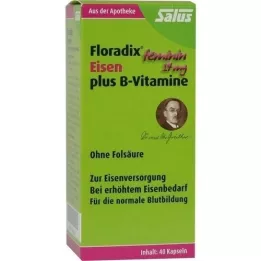 FLORADIX Željezo plus vitamini B kapsule, 40 kom