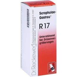 SCROPHULAE-Gastreu R17 mješavina, 50 ml