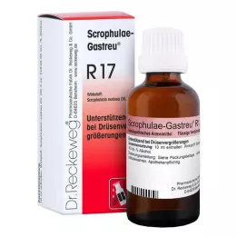 SCROPHULAE-Gastreu R17 mješavina, 50 ml
