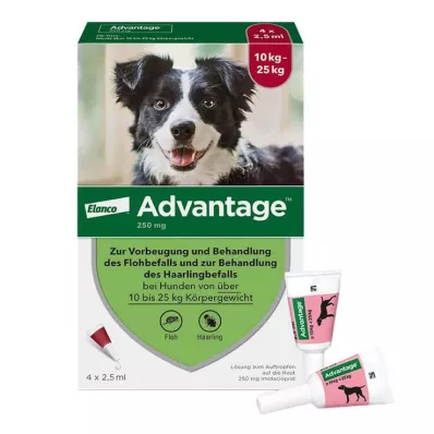 Advantage 250 za pse od 10-25 kg, 4 kom