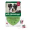 Advantage 250 za pse od 10-25 kg, 4 kom