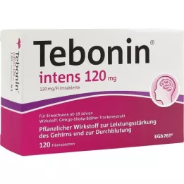 TEBONIN intens 120 mg filmom obložene tablete, 120 kom