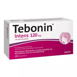 TEBONIN intens 120 mg filmom obložene tablete, 120 kom