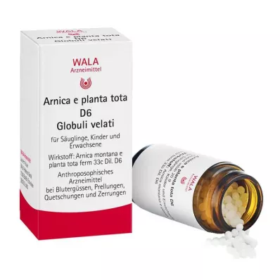 Arnika E Planta tota D 6 globula, 20 g