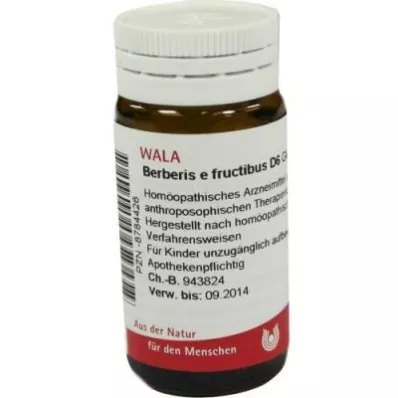 Berberis E Fructibus D6 globule (20 g) Berberis E Fructibus D6 globule (20 g)