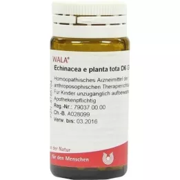 ECHINACEA E planta tata D 6 globula, 20 g