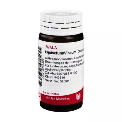 Equisetum / Viscum Globule, 20 g Equisetum / Viscum Globule, 20 g