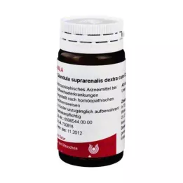 GLANDULA SUPRARENALIS dextra cum cupro globule, 20 g