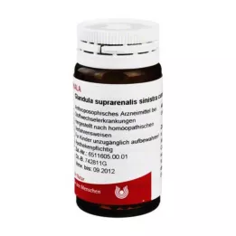 GLANDULA SUPRARENALES sinistra cum cupro globule, 20 g