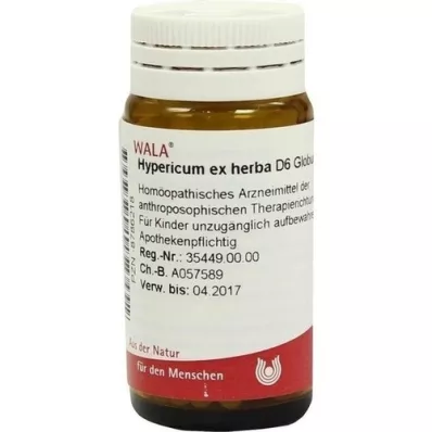 HYPERICUM EX Herba D 6 globula, 20 g