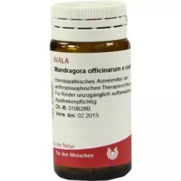 MANDRAGORA OFFICINARIUM e radice D 6 globula, 20 g