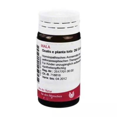 Oxalis E Planta Tota D 6 globula, 20 g Oxalis E Planta Tota D 6 globula, 20 g