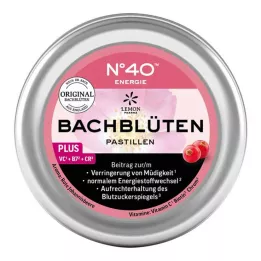 ENERGIE BACHBLÜTENPASTILLEN po Dr.Bachu, 50 g