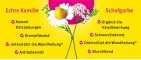 Instructions for use for Kamillan® tekućina, 10 ml - 2