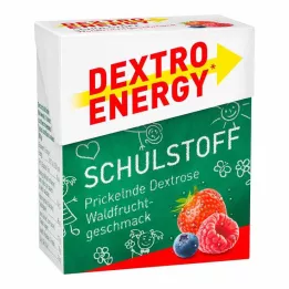 DEXTRO ENERGY Školski materijal šumsko voće tablete, 50 g