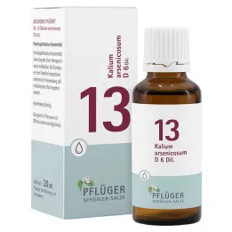 BIOCHEMIE Pflueger 13 Kalium arsenicosum D 6 kapi, 30 ml