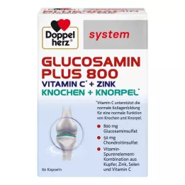 DOPPELHERZ Glucosamine Plus 800 system kapsule, 60 kom