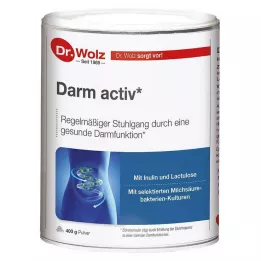 DARM ACTIV Dr.Wolz prah, 400 g