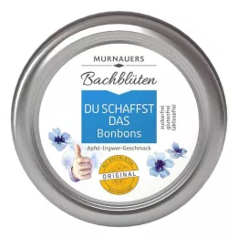 BACHBLÜTEN Murnauers You can do it slatkiši, 50 g
