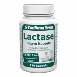 LACTASE 12 000 FCC enzimskih kapsula, 120 komada