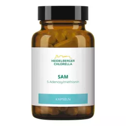 SAM S-ADENOSYLMETHIONIN kapsule, 60 kom