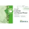 SIDROGA Wellness zeleni čaj s nana mint filter vrećicom, 20X1,5 g