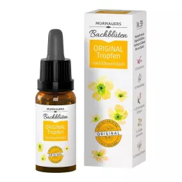 BACHBLÜTEN Murnauers Original kapi, 20 ml
